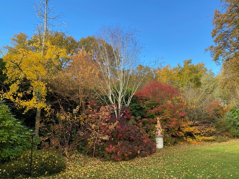 Jardin de Freville