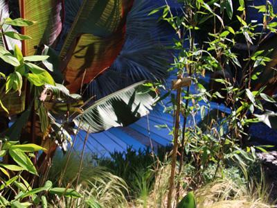 Un JARDIN DANS LES ETOILES