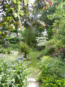 LE JARDIN DE LA PLAGE VERTE