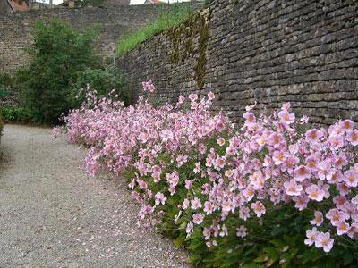 Bourg - Promenade du belvédère