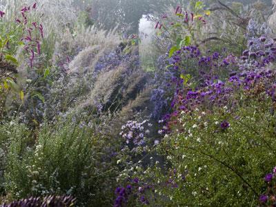 LE JARDIN PLUME