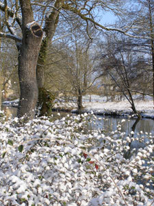 JARDINS DU DUC JEAN DE BERRY