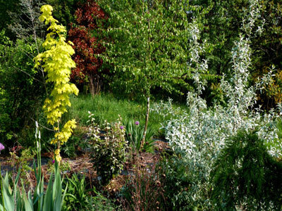 Le Jardin de l'Abbaye