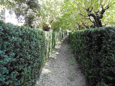 Domaine de Rieussec, vignoble La Croix Deltort