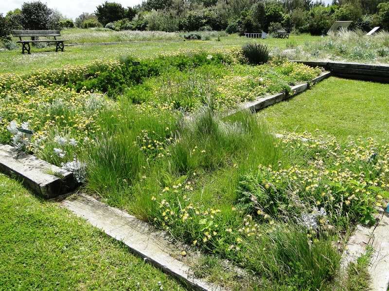 Jardin botanique littoral de Saint-Jean-de-Luz