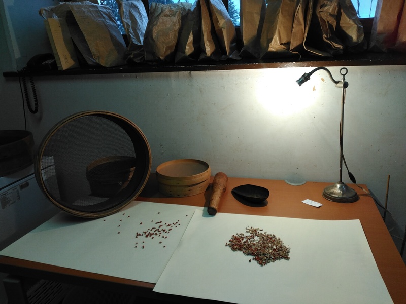 Jardin botanique alpin de la Jaÿsinia