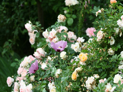 JARDIN DE GRANDS-MÈRES, EMPREINTE ET PATINE DES SIÈCLES