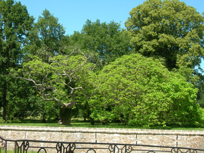 PARC DU CHÂTEAU DE RÉVEILLON