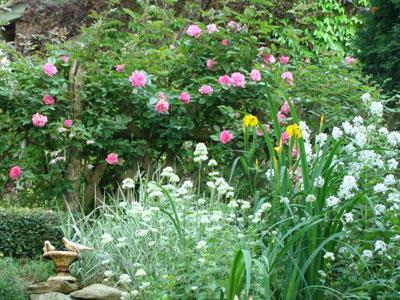 Les Jardins de la Louvière