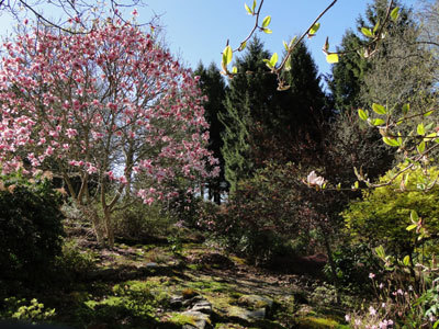 Les Jardins de Treuscoat