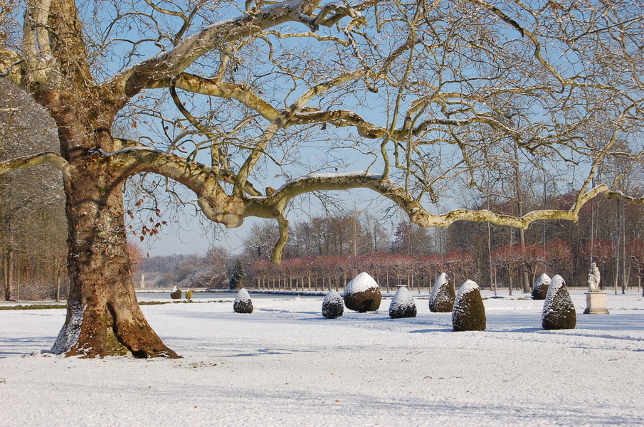 JARDINS DE L'ABBAYE ROYALE DE CHAALIS