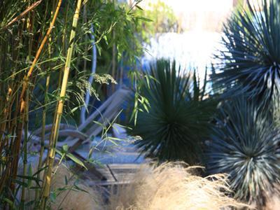 Un JARDIN DANS LES ETOILES