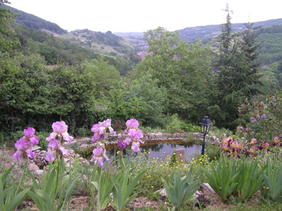 LE JARDIN DE TRUDY