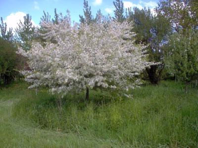 Les Jardins de La Beuverie