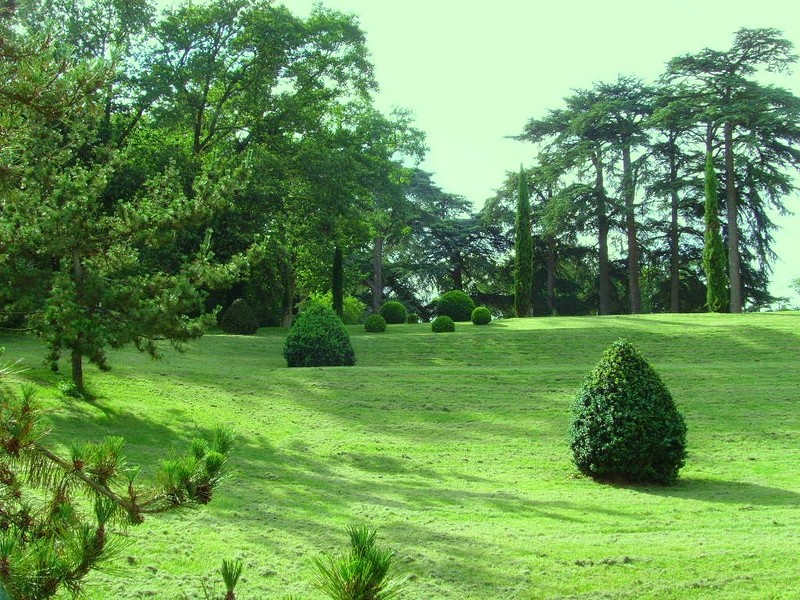 Parc du Manoir de la Vignette