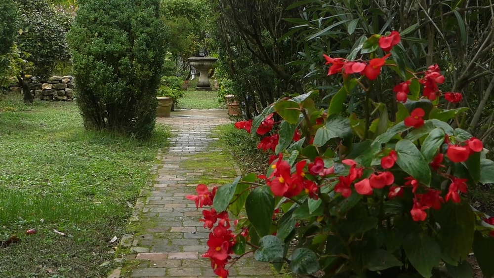 JARDIN DE LA CHAPELLE