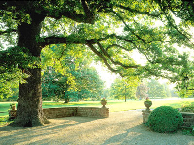 PARC DE SCHOPPENWIHR