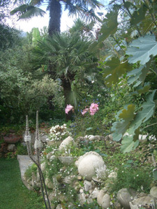 JARDIN DES FLEURS DE POTERIE