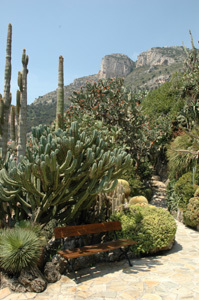 JARDIN EXOTIQUE DE MONACO