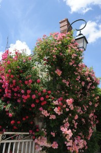 Chédigny village jardin