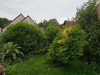 Jardin de Liberté