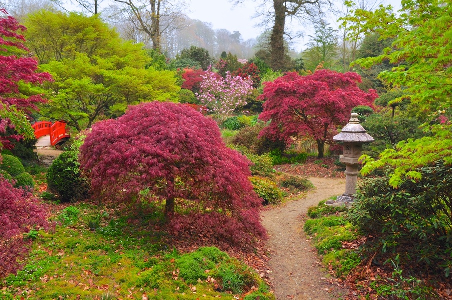 PARC BOTANIQUE DE HAUTE BRETAGNE