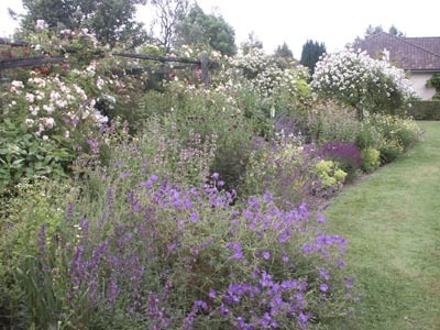 LE JARDIN DE MARIE ANGE