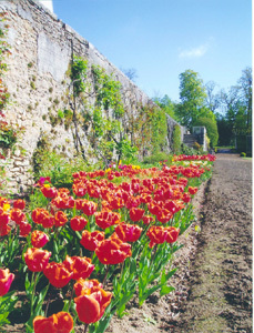 PARC DU CHÂTEAU DE MONTGEOFFROY