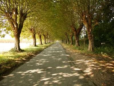 PARC DU CHÂTEAU DE SAINT JUST