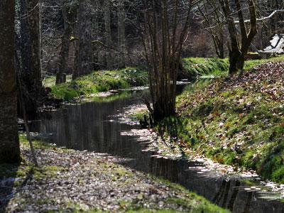 PARC ARBORETUM DE SAINT-SETIERS