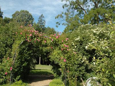 PARC DU CHÂTEAU DE BOISSY-LE-SEC