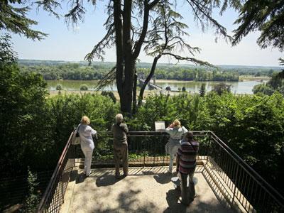 JARDIN DU CHÂTEAU DE LANGEAIS