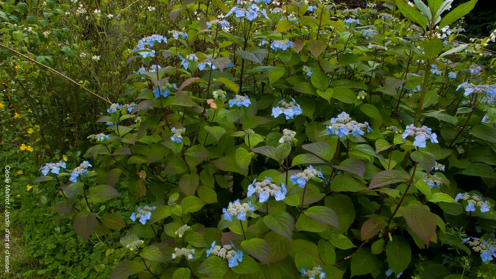 JARDIN D'ART ET D'ESSAIS