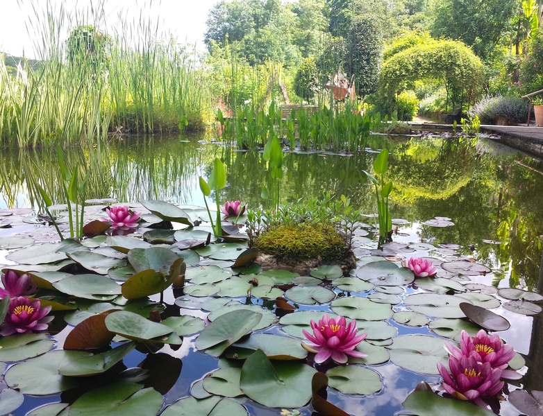 JARDIN DES PARADIS