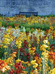 JARDINS DU NOUVEAU MONDE