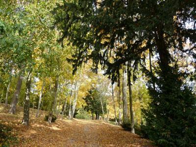 Parc de la Chapelle Royale de Dreux