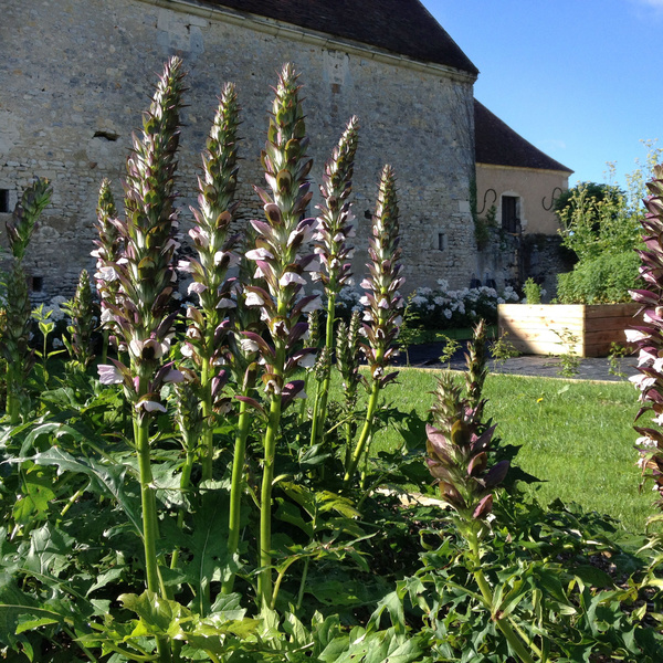 Jardins de la Chartreuse Notre Dame du Val Saint Jean