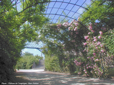 PARC DU CHÂTEAU DE COMPIÈGNE