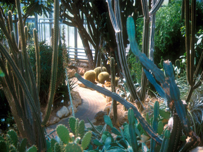 JARDIN BOTANIQUE JEAN-MARIE PELT