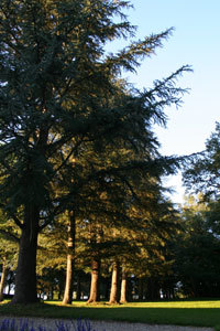 PARC ET JARDINS DU CHÂTEAU DE BLANCAFORT