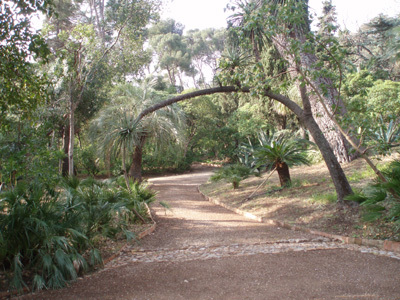 LE PLANTIER DE COSTEBELLE