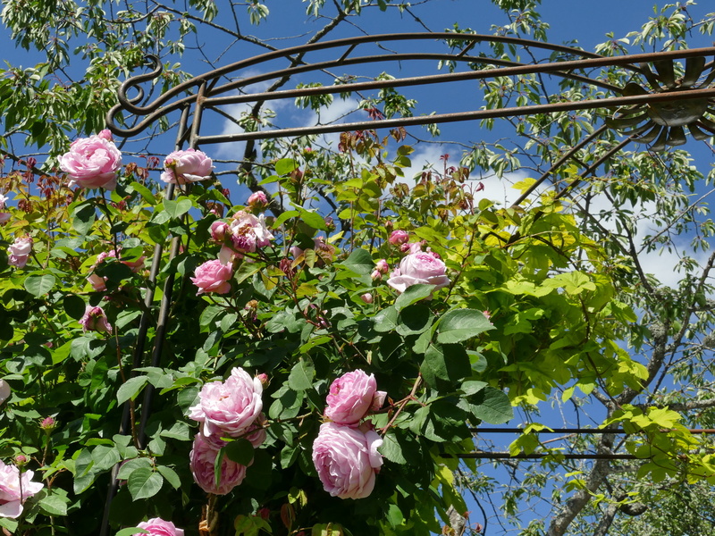 JARDIN DE LA VILLA ROSA