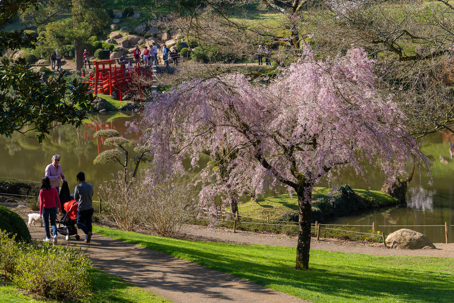 PARC ORIENTAL DE MAULÉVRIER