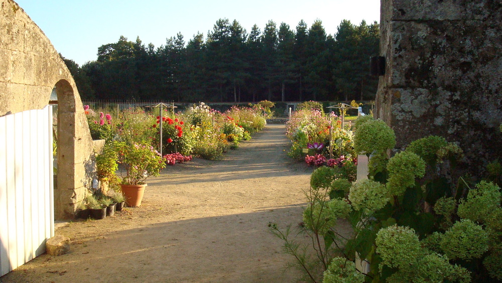 PARC ET JARDINS DU CHÂTEAU DE TOURNELAY