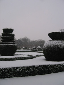 JARDIN DE GRENOUILLON