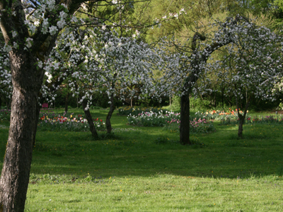 Le Jardin du Pontot