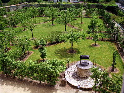 JARDIN DES PLANTES MÉDICINALES ET VERGER CONSERVATOIRE