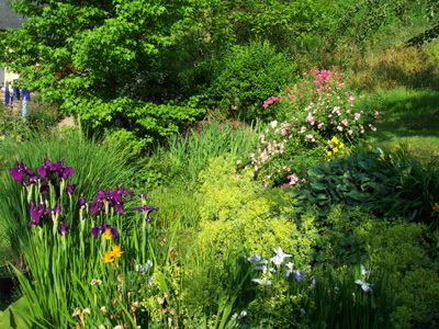 JARDIN DU FAUDÉ