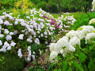 Jardin de la Chaumine