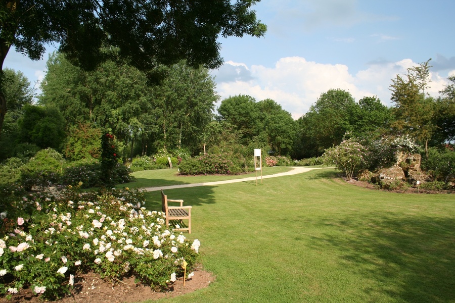 LES CHEMINS DE LA ROSE